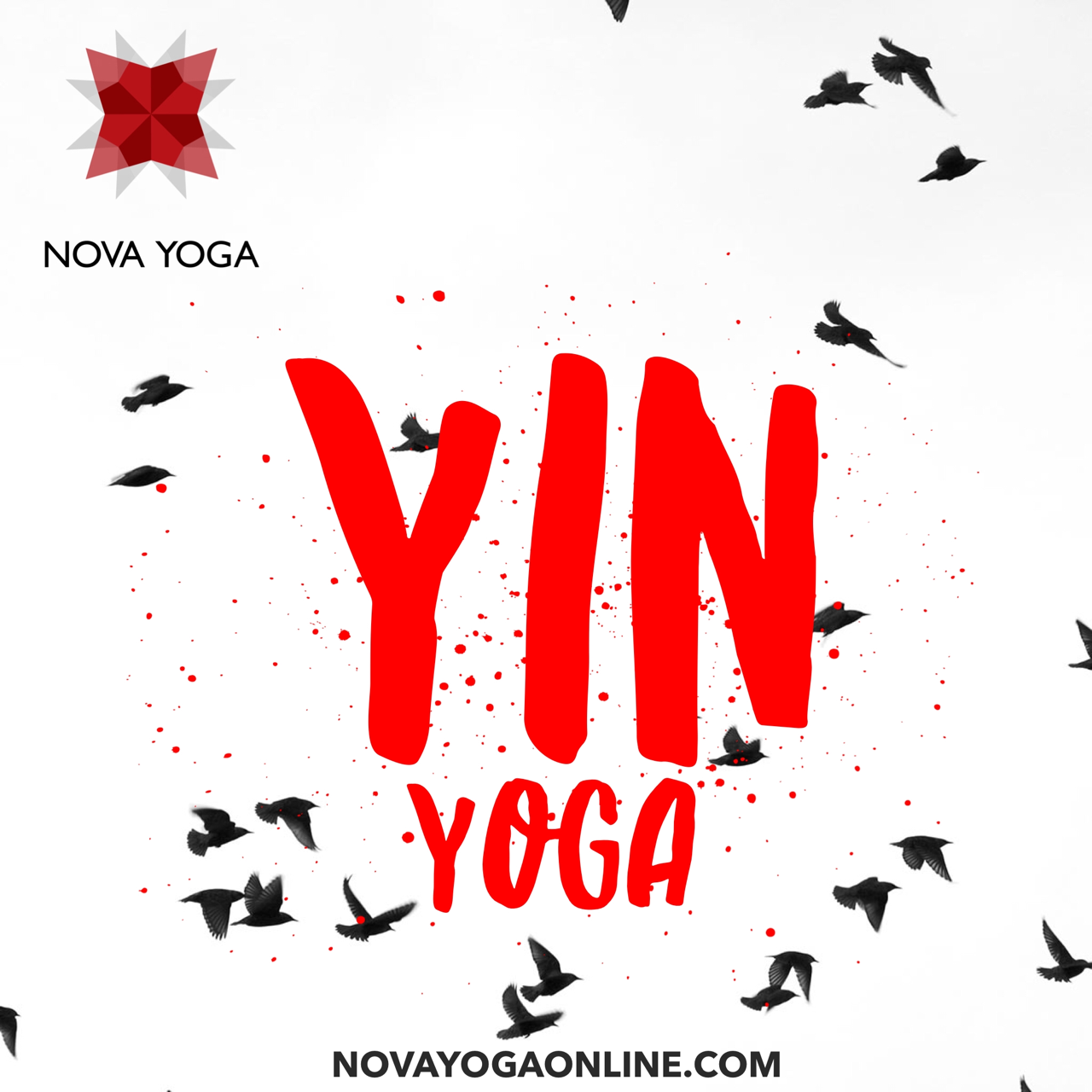The Nova Yoga Show - Stretchy Goodness 
